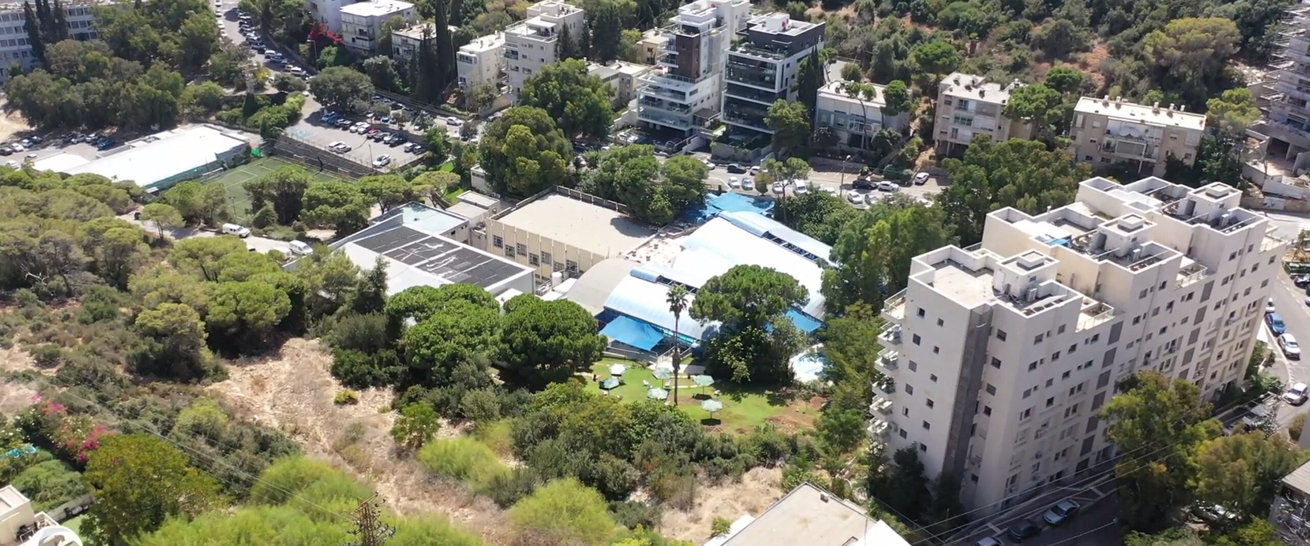 עמוד הבית